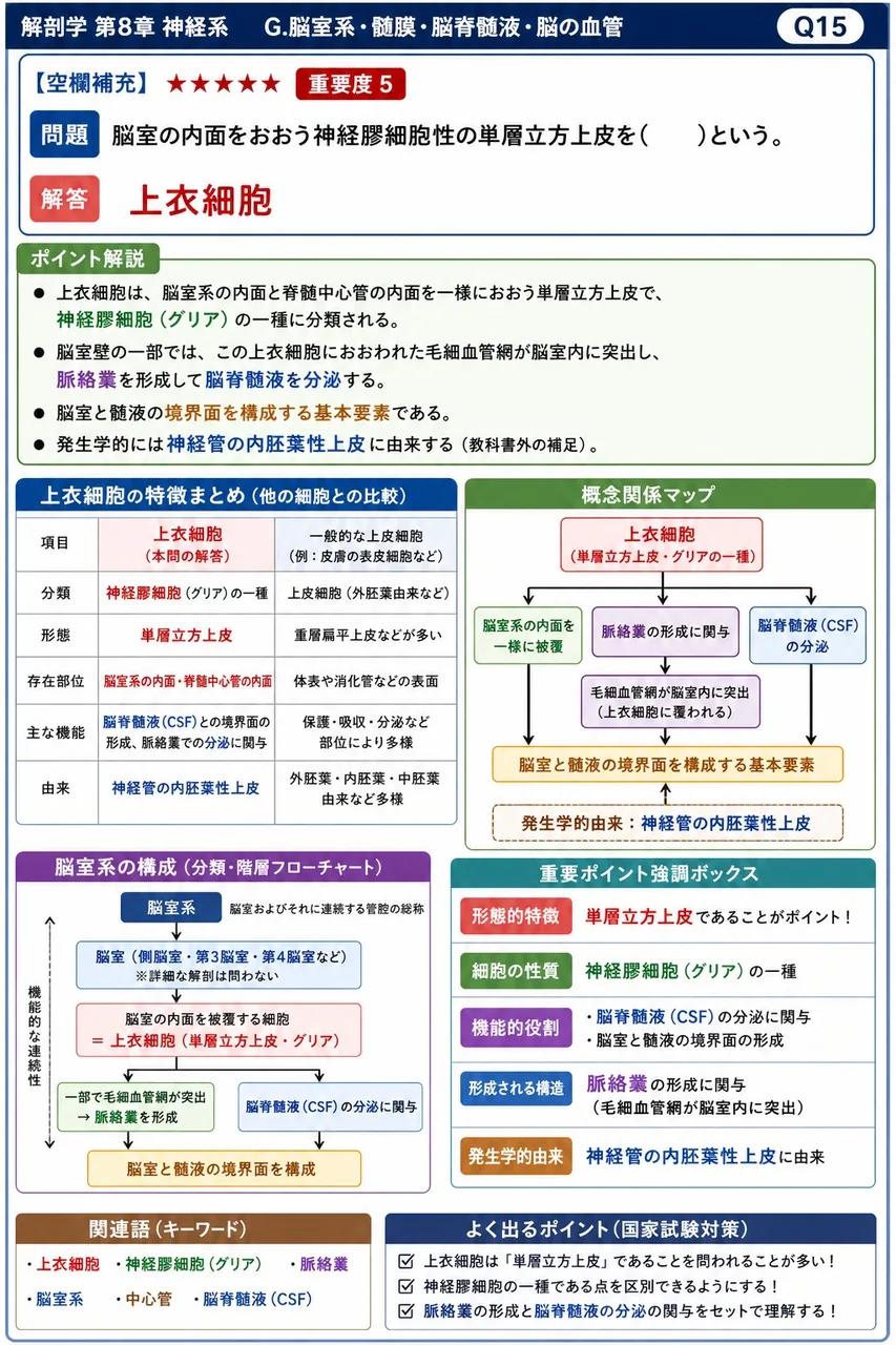脳室の内面をおおう神経膠細胞性の単層立方上皮を( )という。 解説図