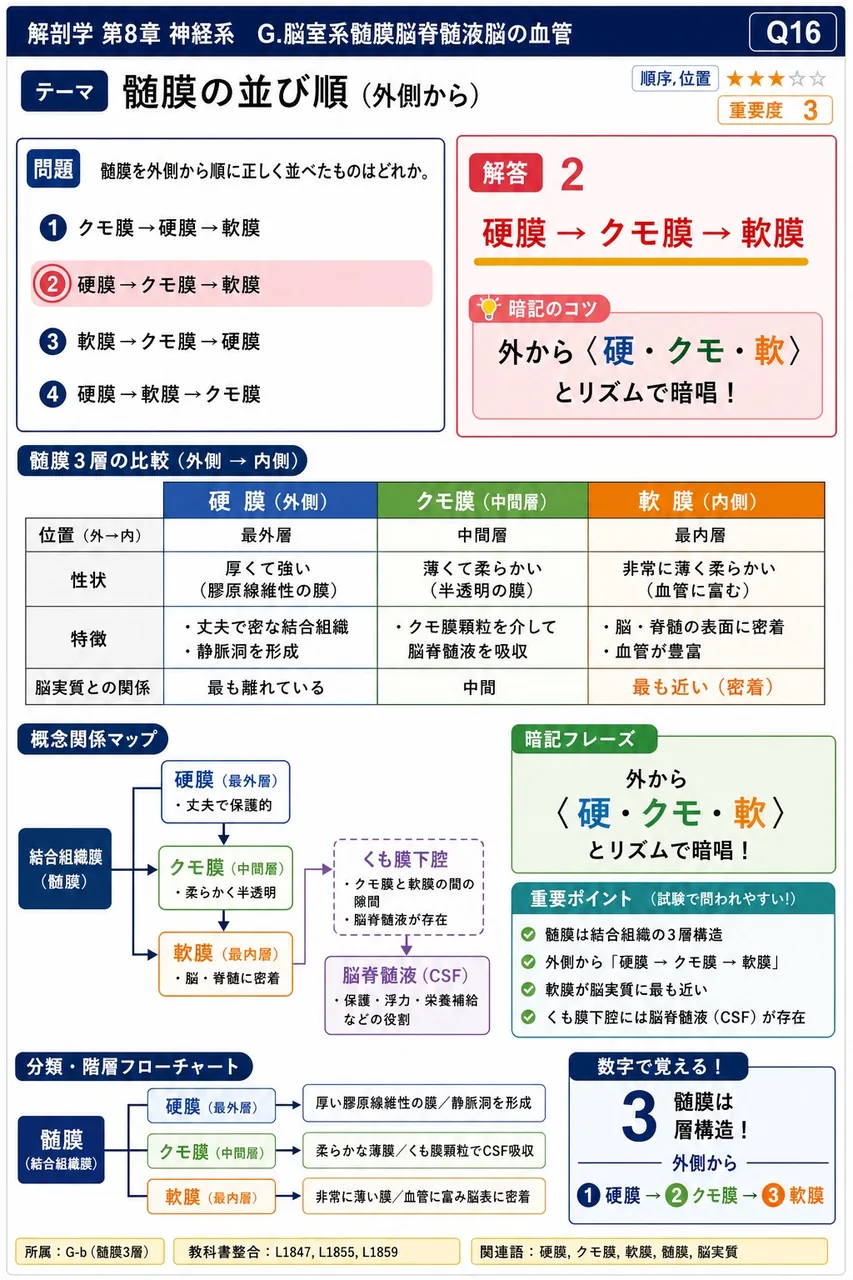 髄膜を外側から順に正しく並べたものはどれか。 解説図