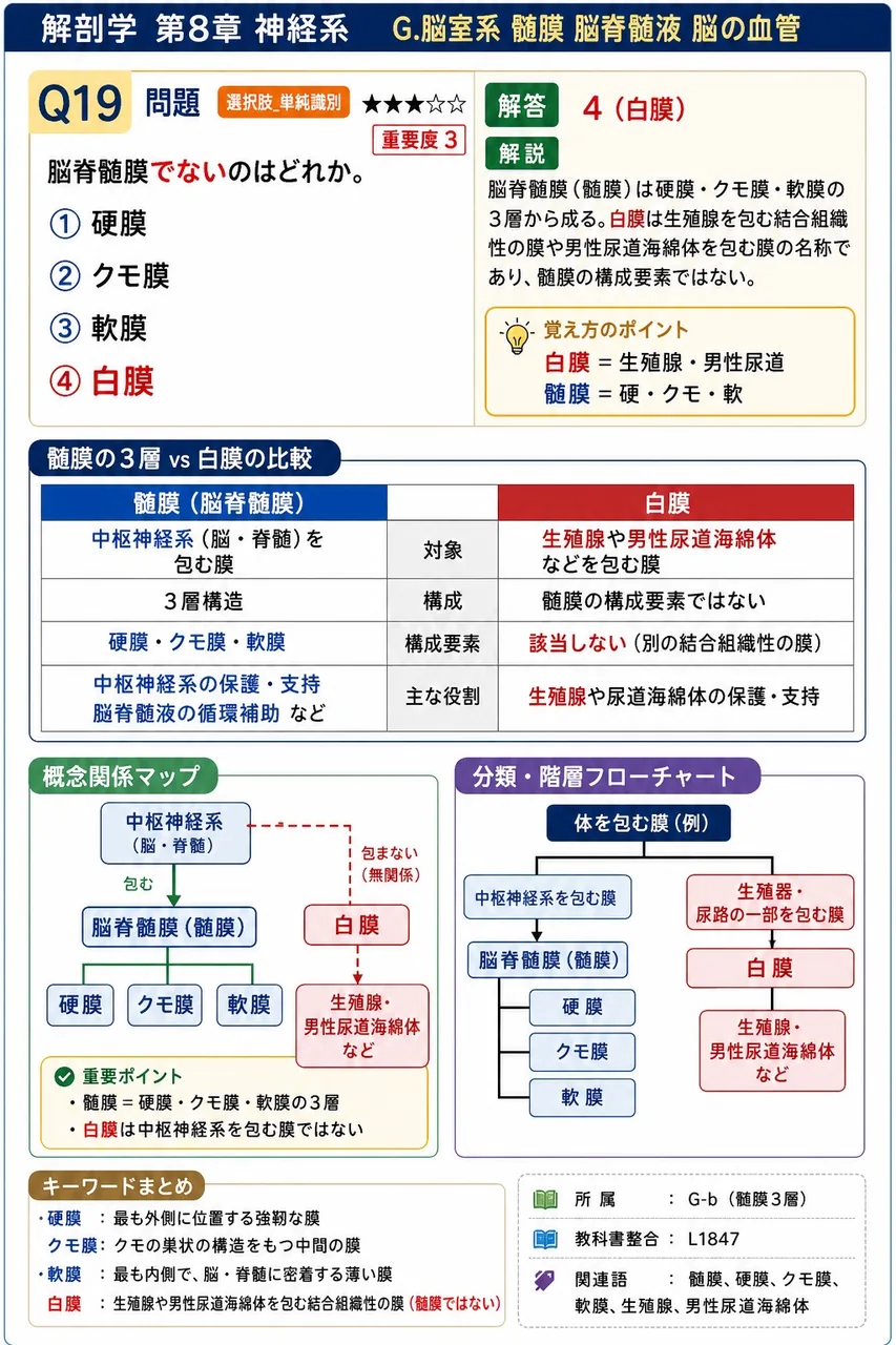 脳脊髄膜でないのはどれか。 解説図