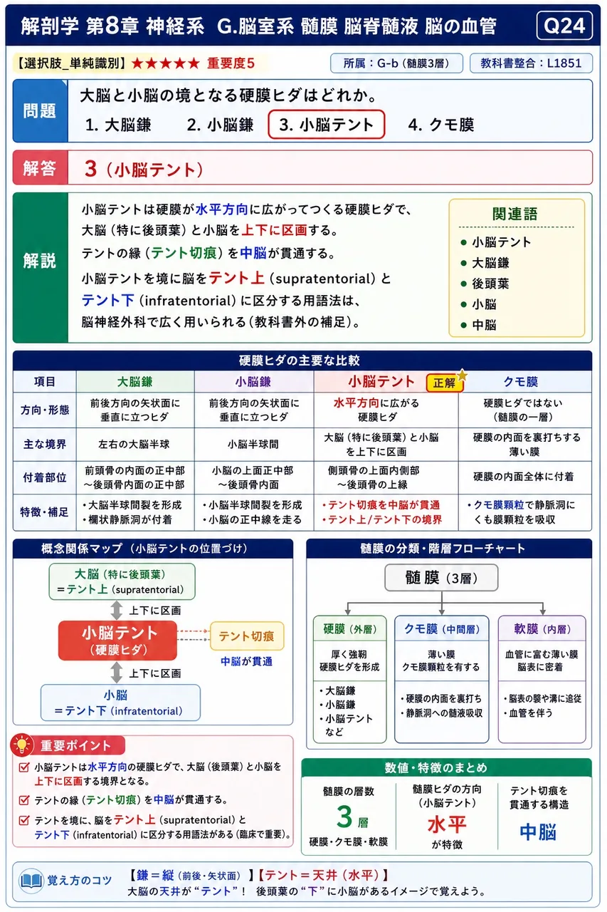 大脳と小脳の境となる硬膜ヒダはどれか。 解説図
