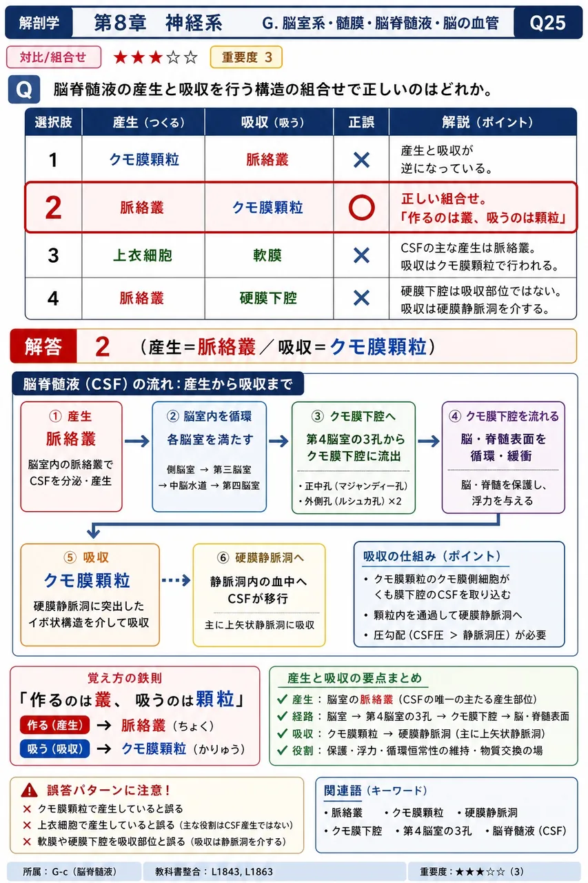 脳脊髄液の産生と吸収を行う構造の組合せで正しいのはどれか。 解説図