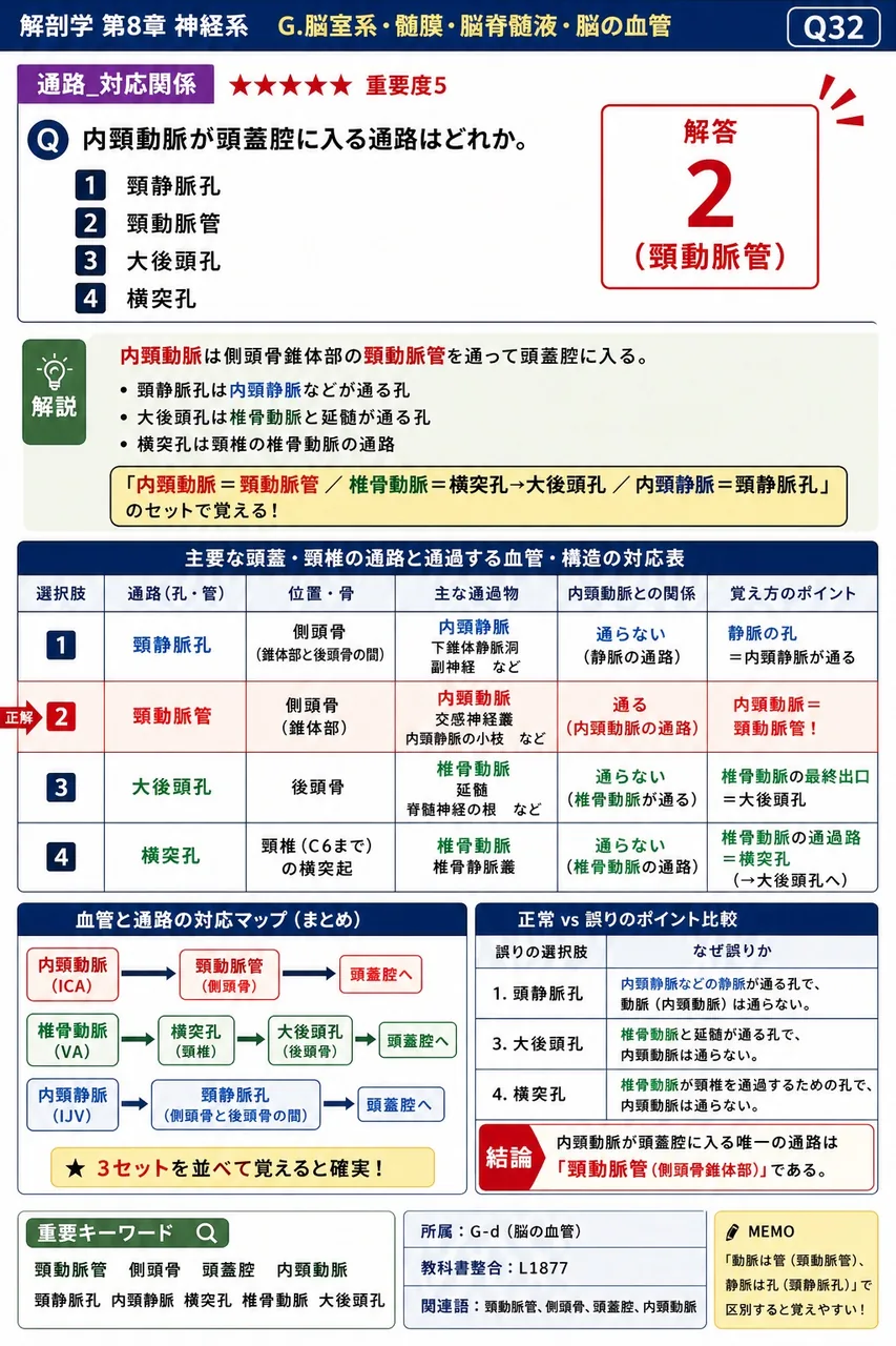 内頸動脈が頭蓋腔に入る通路はどれか。 解説図