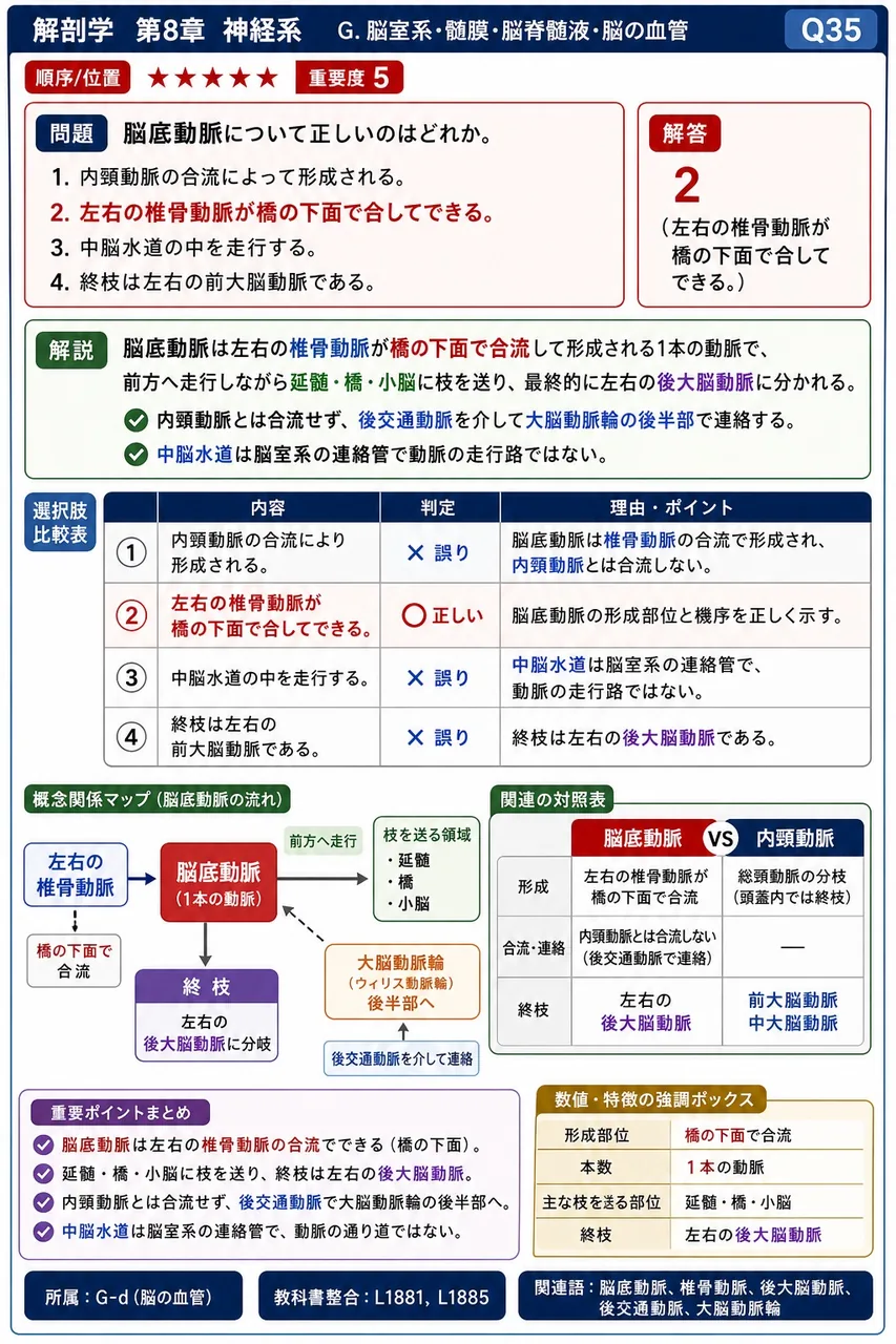 脳底動脈について正しいのはどれか。 解説図