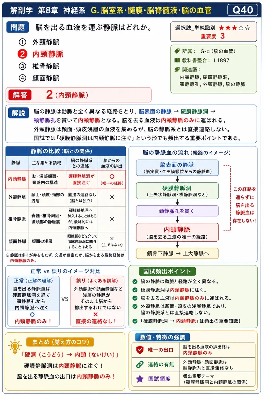 脳を出る血液を運ぶ静脈はどれか。 解説図