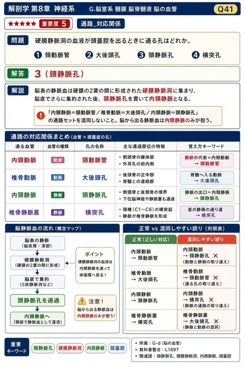 硬膜静脈洞の血液が頭蓋腔を出るときに通る孔はどれか。 解説図