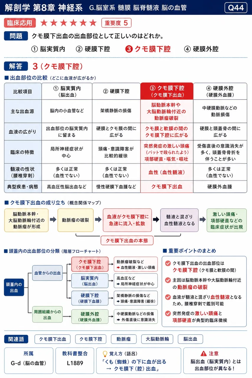 クモ膜下出血の出血部位として正しいのはどれか。 解説図
