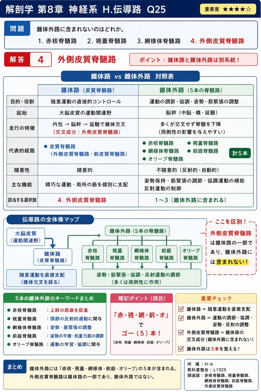 錐体外路に含まれないのはどれか。 解説図