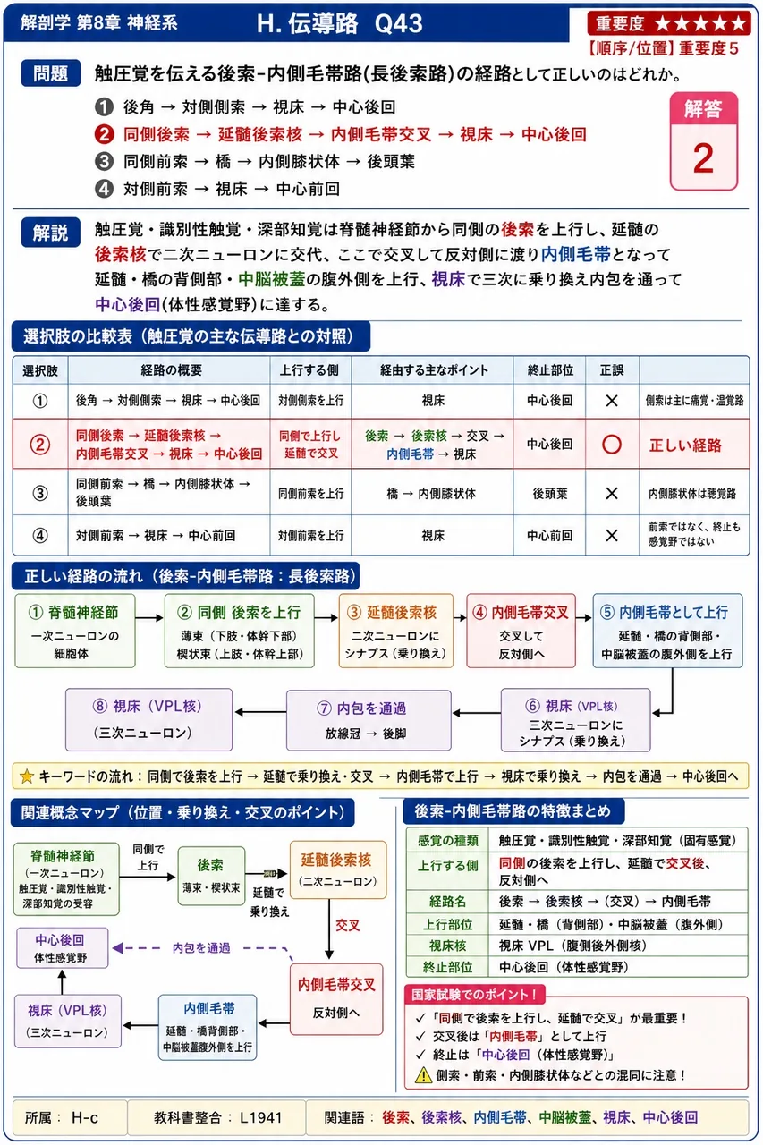 触圧覚を伝える後索-内側毛帯路(長後索路)の経路として正しいのはどれか。 解説図