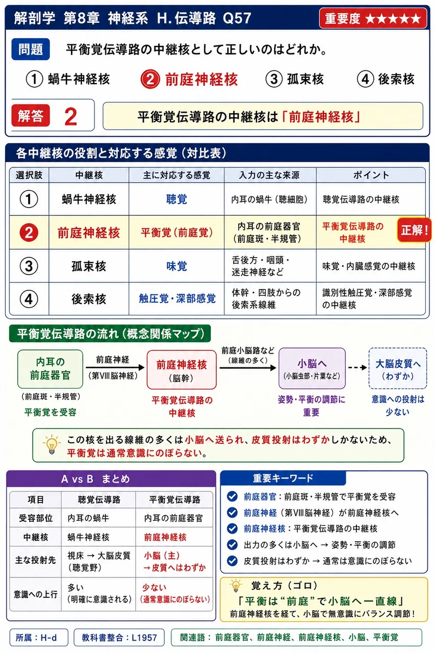 平衡覚伝導路の中継核として正しいのはどれか。 解説図