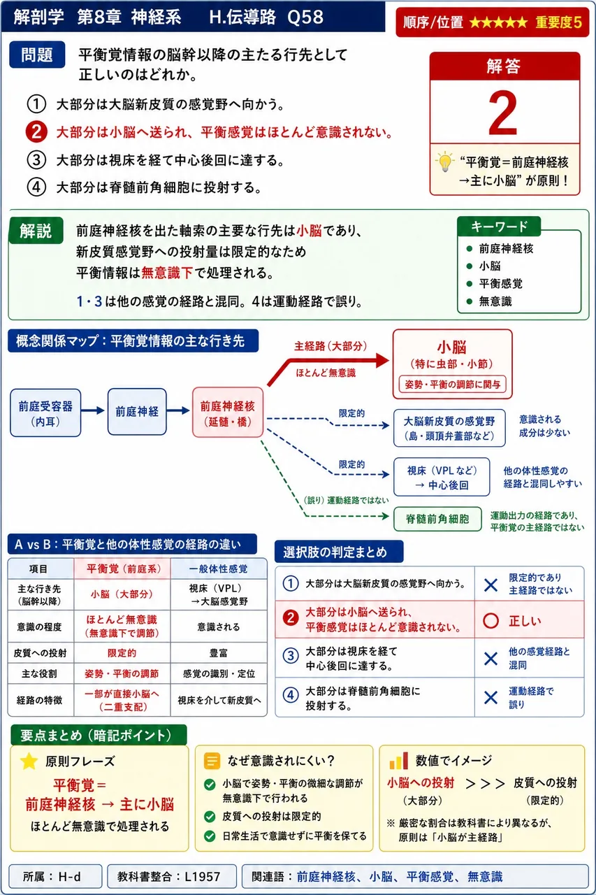 平衡覚情報の脳幹以降の主たる行先として正しいのはどれか。 解説図