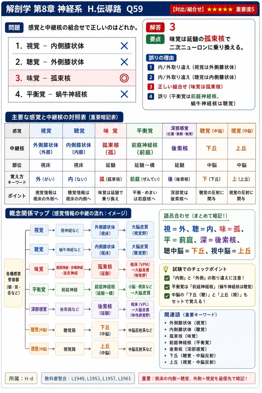 感覚と中継核の組合せで正しいのはどれか。 解説図