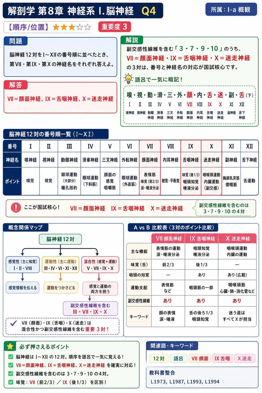 脳神経12対をI〜XIIの番号順に並べたとき、第VII・第IX・第Xの神経名をそれぞれ答えよ。 解説図