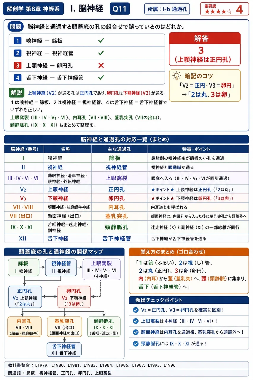 脳神経と通過する頭蓋底の孔の組合せで誤っているのはどれか。 解説図