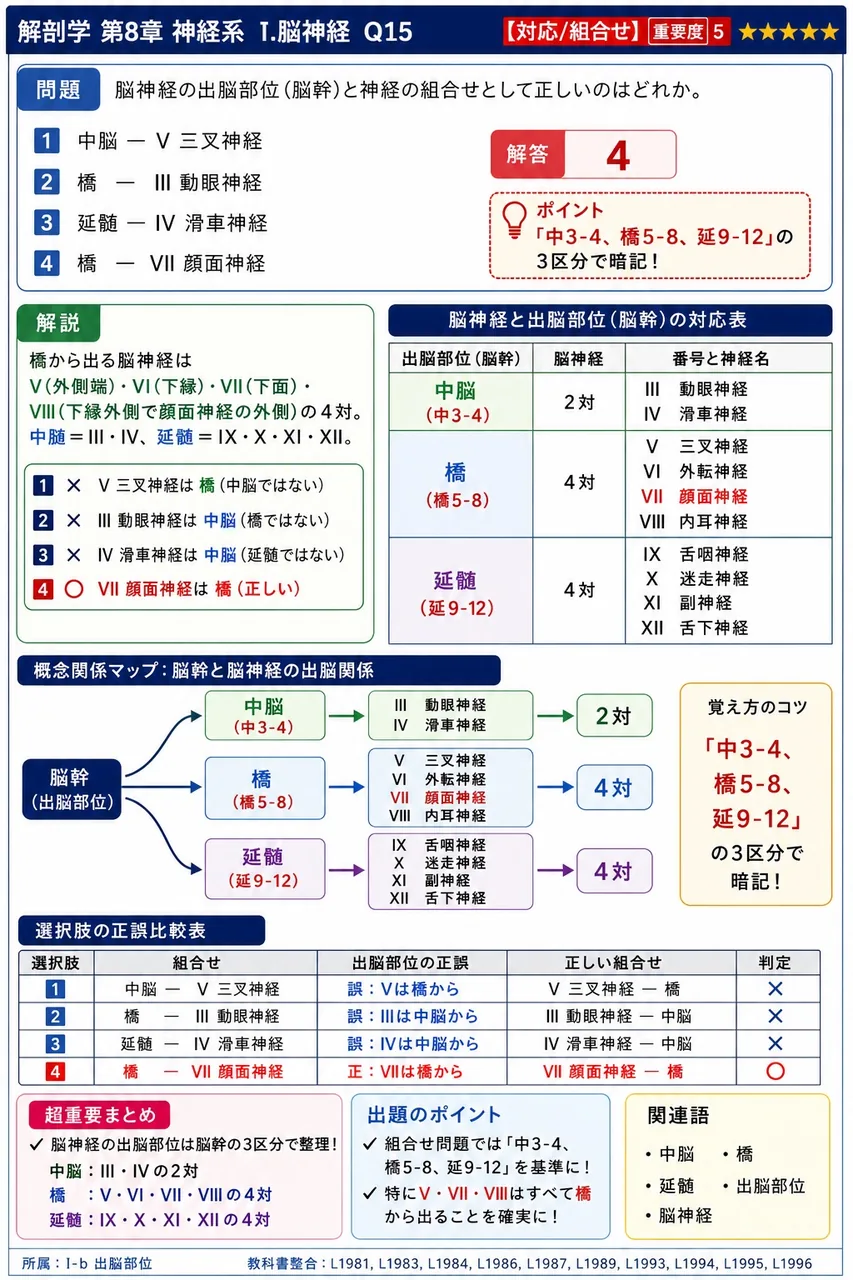 脳神経の出脳部位(脳幹)と神経の組合せとして正しいのはどれか。 解説図
