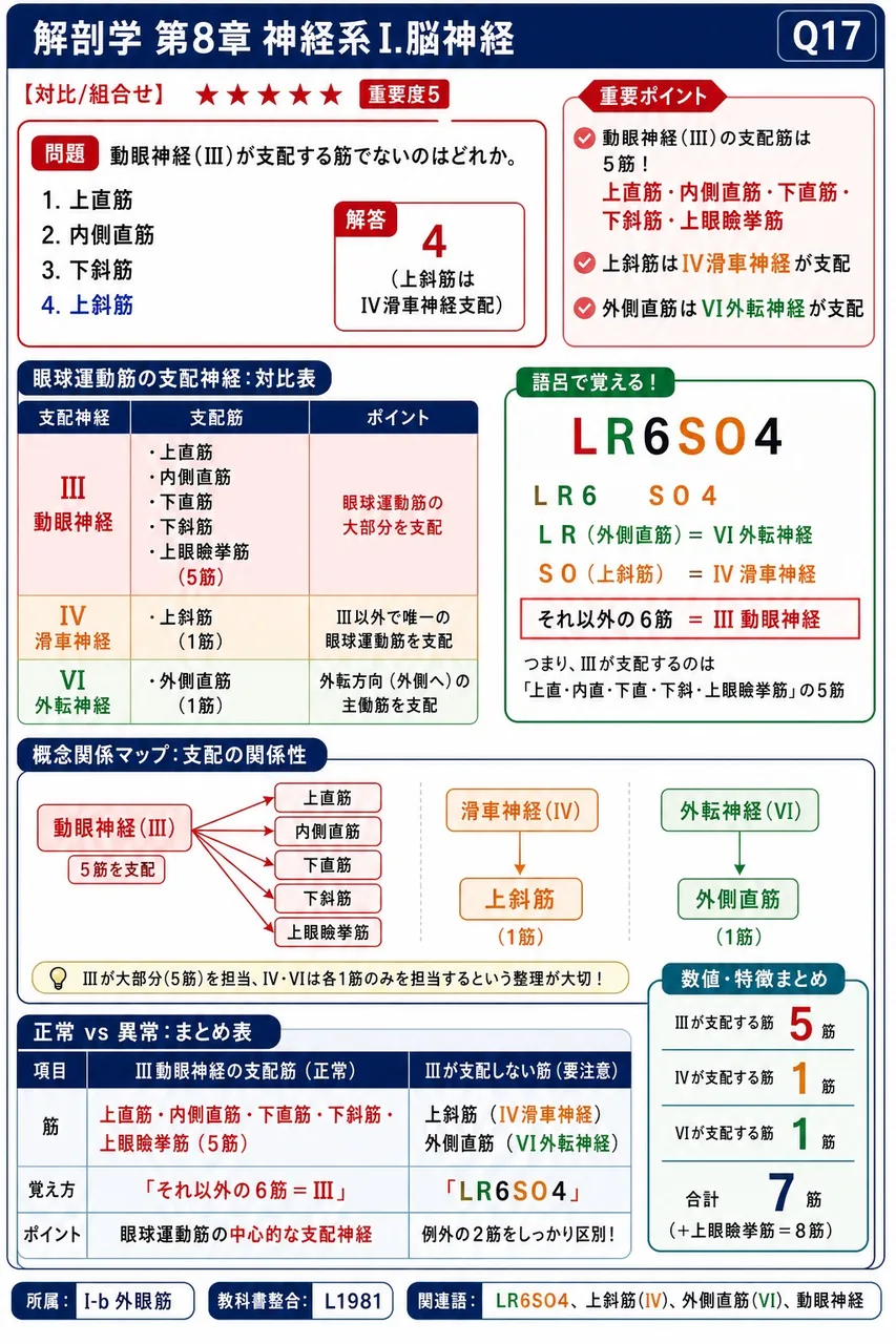 動眼神経(III)が支配する筋でないのはどれか。 解説図