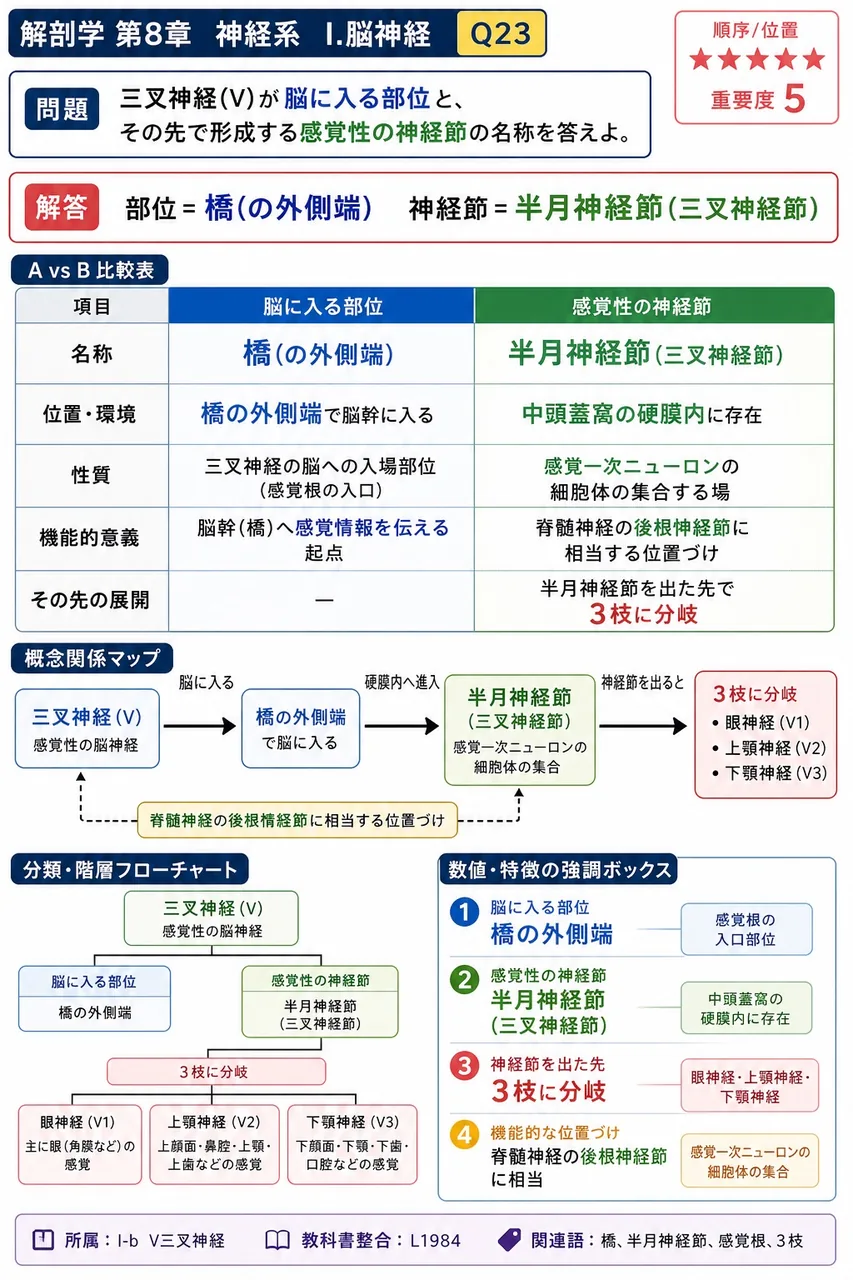 三叉神経(V)が脳に入る部位と、その先で形成する感覚性の神経節の名称を答えよ。 解説図