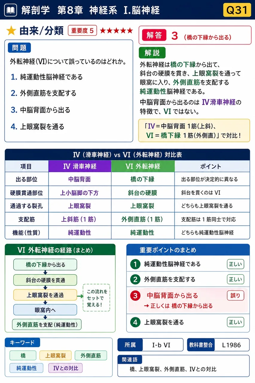 外転神経(VI)について誤っているのはどれか。 解説図