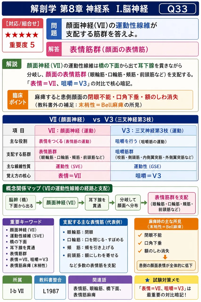 顔面神経(VII)の運動性線維が支配する筋群を答えよ。 解説図