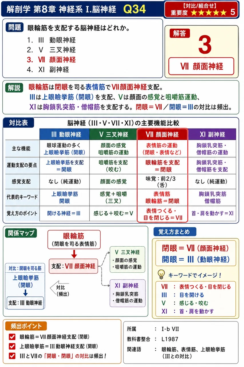 眼輪筋を支配する脳神経はどれか。 解説図
