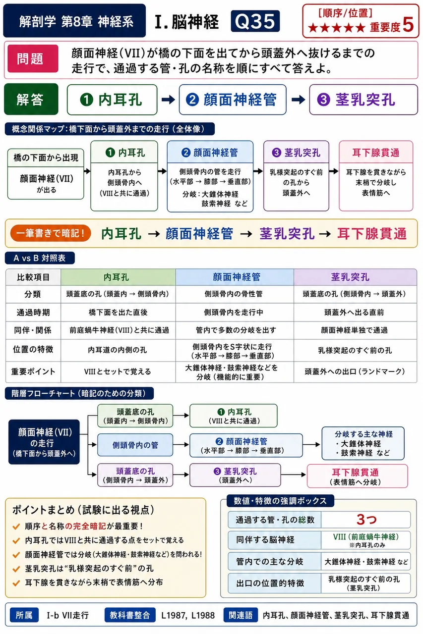 顔面神経(VII)が橋の下面を出てから頭蓋外へ抜けるまでの走行で、通過する管・孔の名称を順にすべて答えよ。 解説図