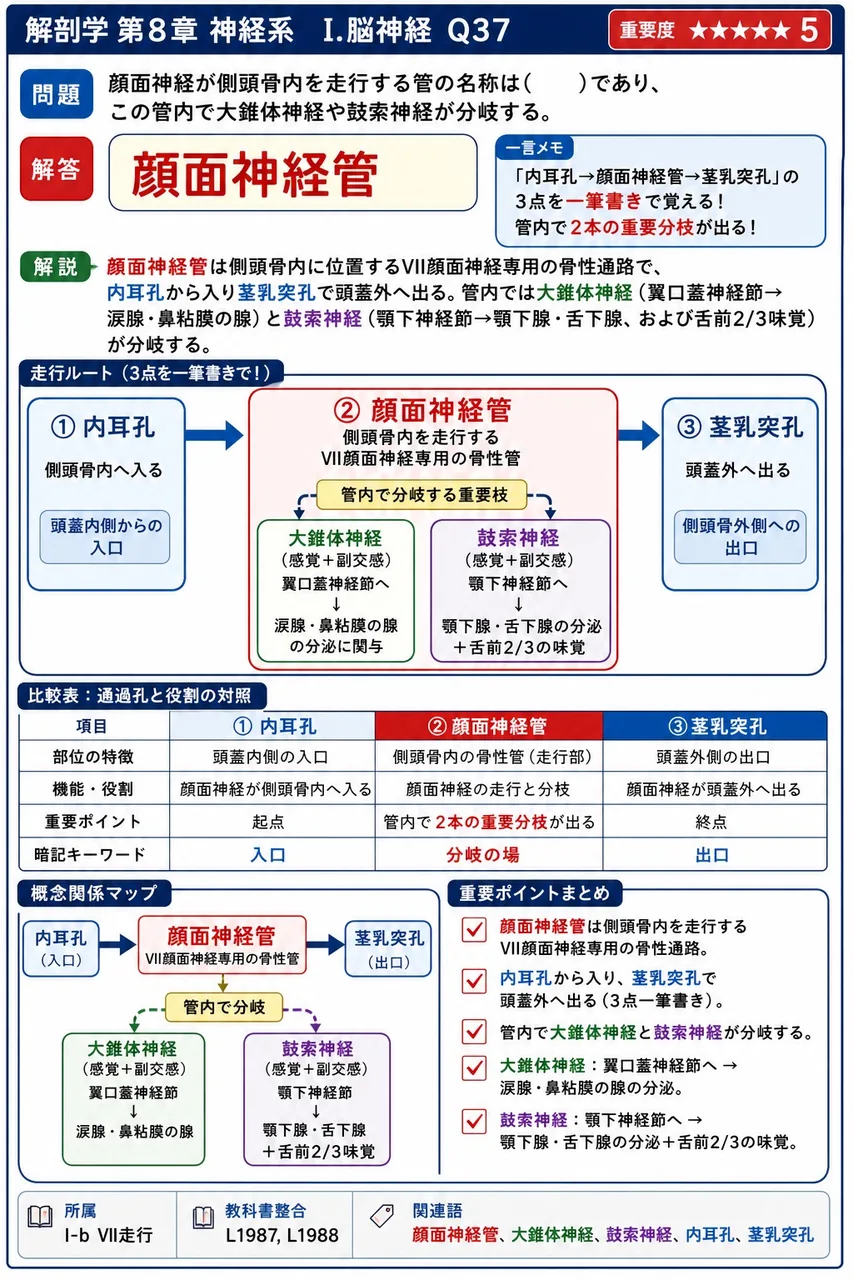 顔面神経が側頭骨内を走行する管の名称は( )であり、この管内で大錐体神経や鼓索神経が分岐する。 解説図