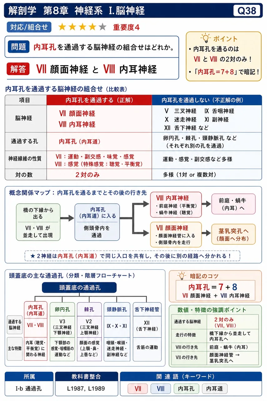 内耳孔を通過する脳神経の組合せはどれか。 解説図