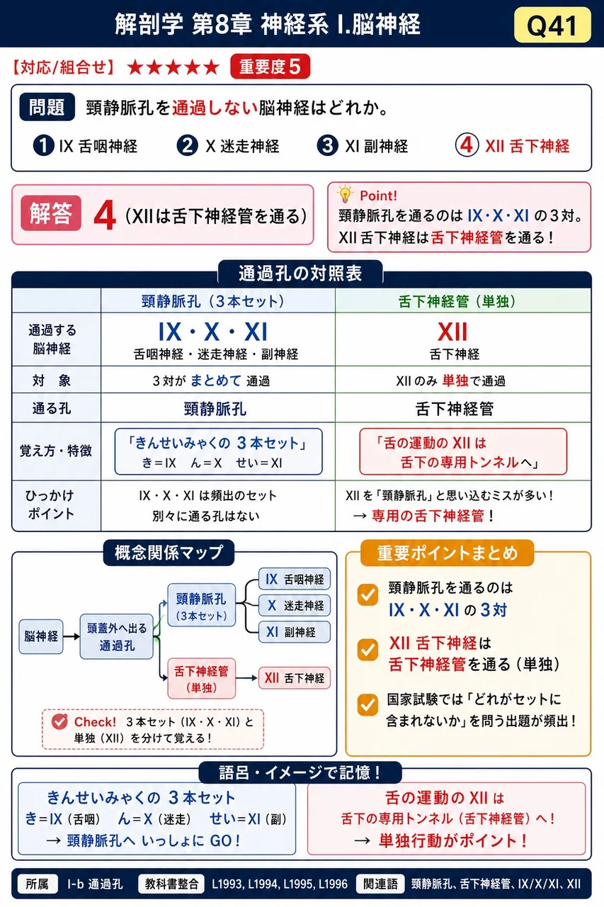 頸静脈孔を通過しない脳神経はどれか。 解説図