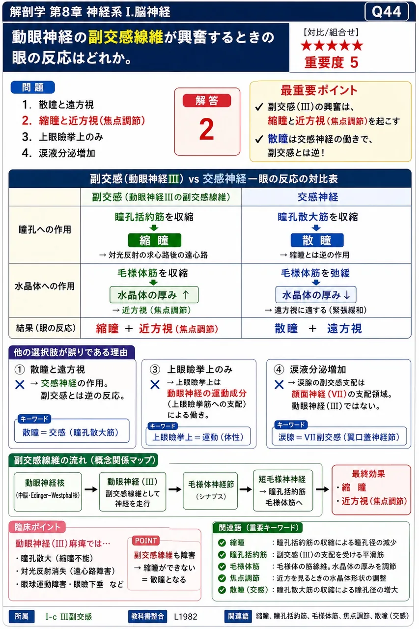 動眼神経の副交感線維が興奮するとき生じる眼の反応として正しいのはどれか。 解説図