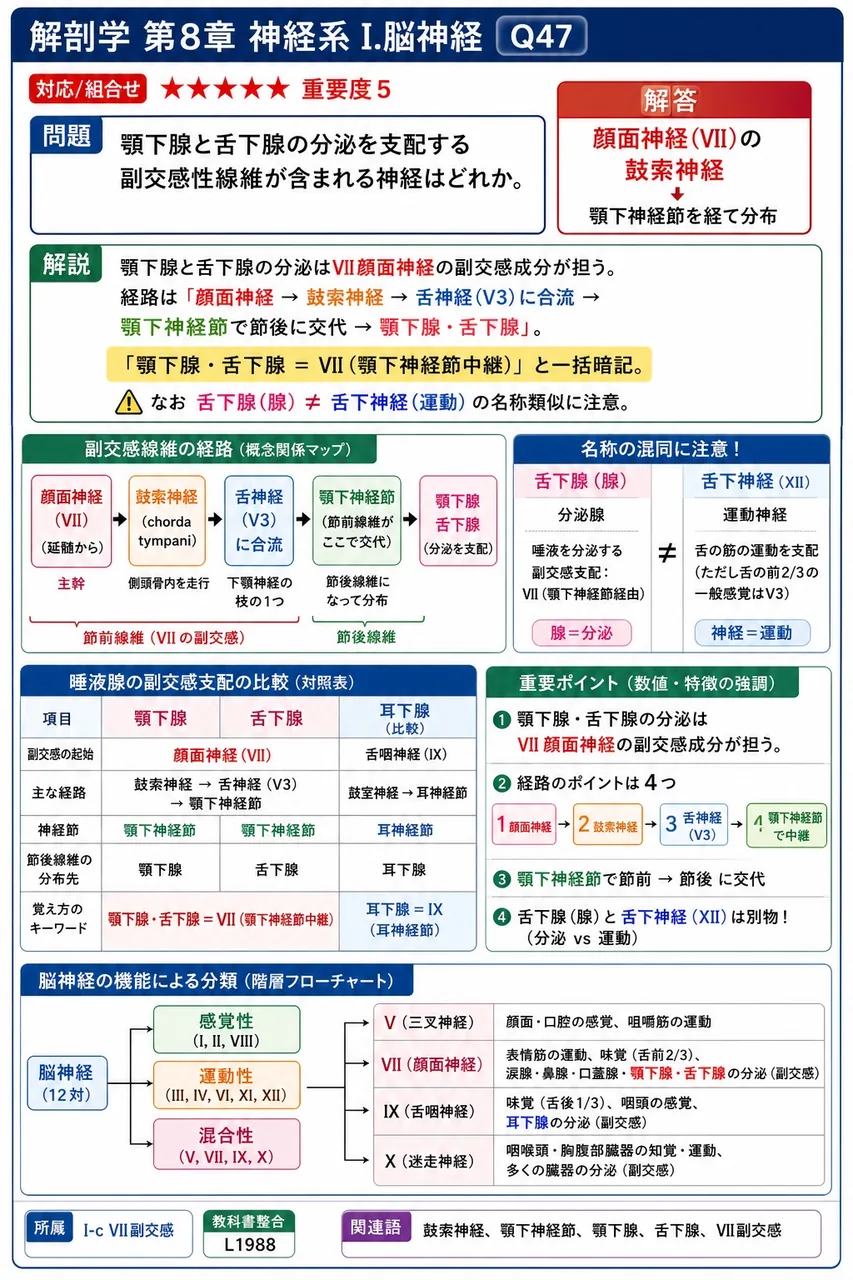 顎下腺と舌下腺の分泌を支配する副交感性線維が含まれる神経はどれか。 解説図