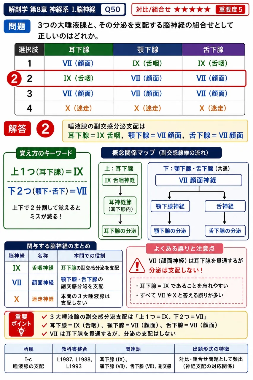 3つの大唾液腺と、その分泌を支配する脳神経の組合せとして正しいのはどれか。 解説図