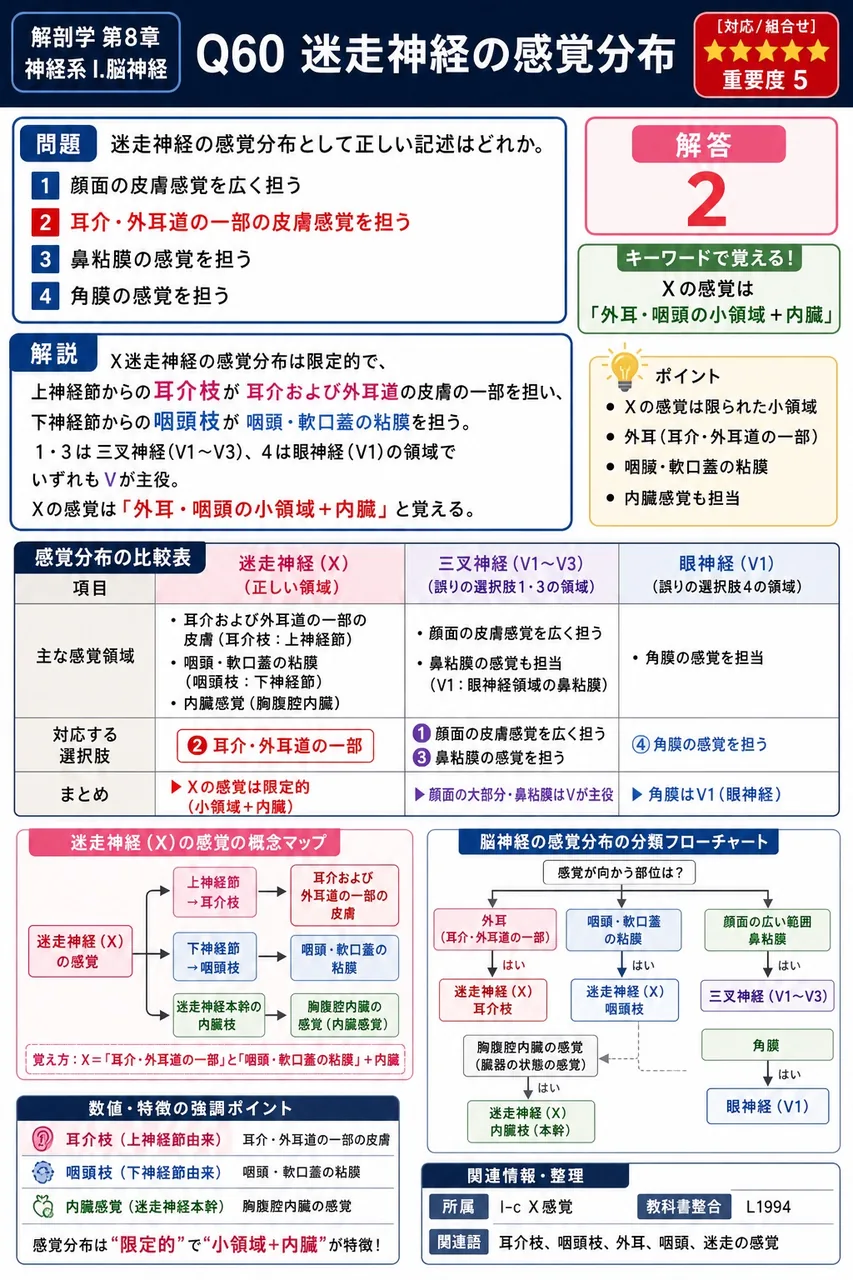 迷走神経の感覚分布として正しい記述はどれか。 解説図