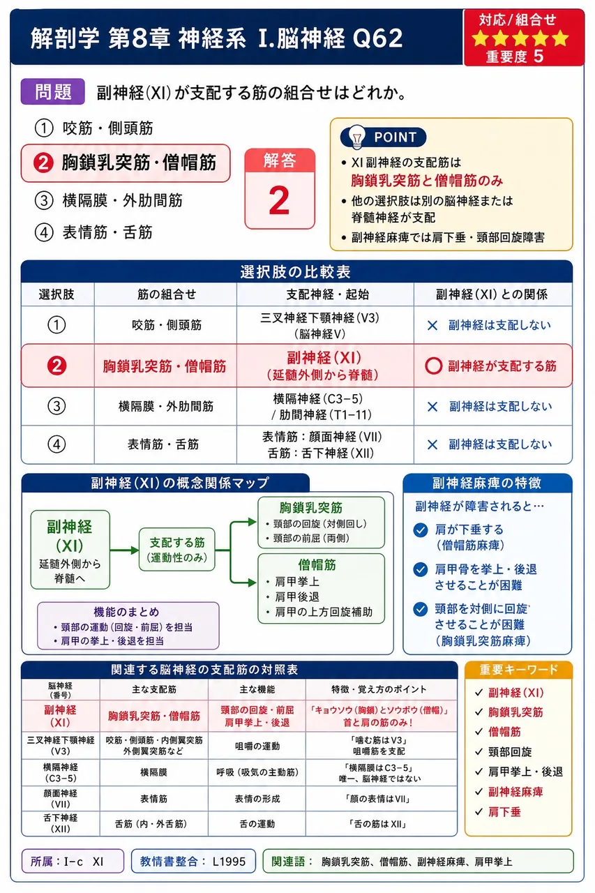 副神経(XI)が支配する筋の組合せはどれか。 解説図