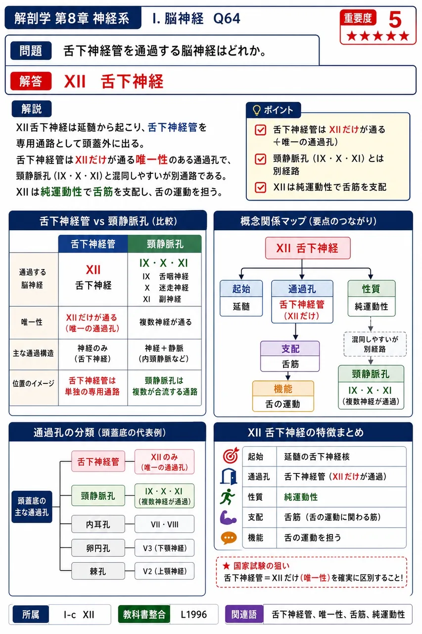 舌下神経管を通過する脳神経はどれか。 解説図