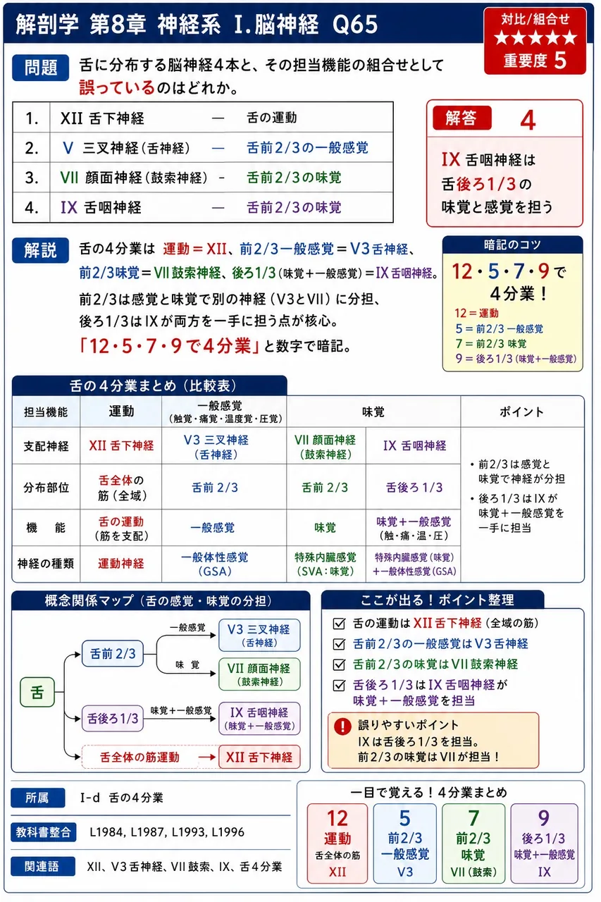 舌に分布する脳神経4本と、その担当機能の組合せとして誤っているのはどれか。 解説図