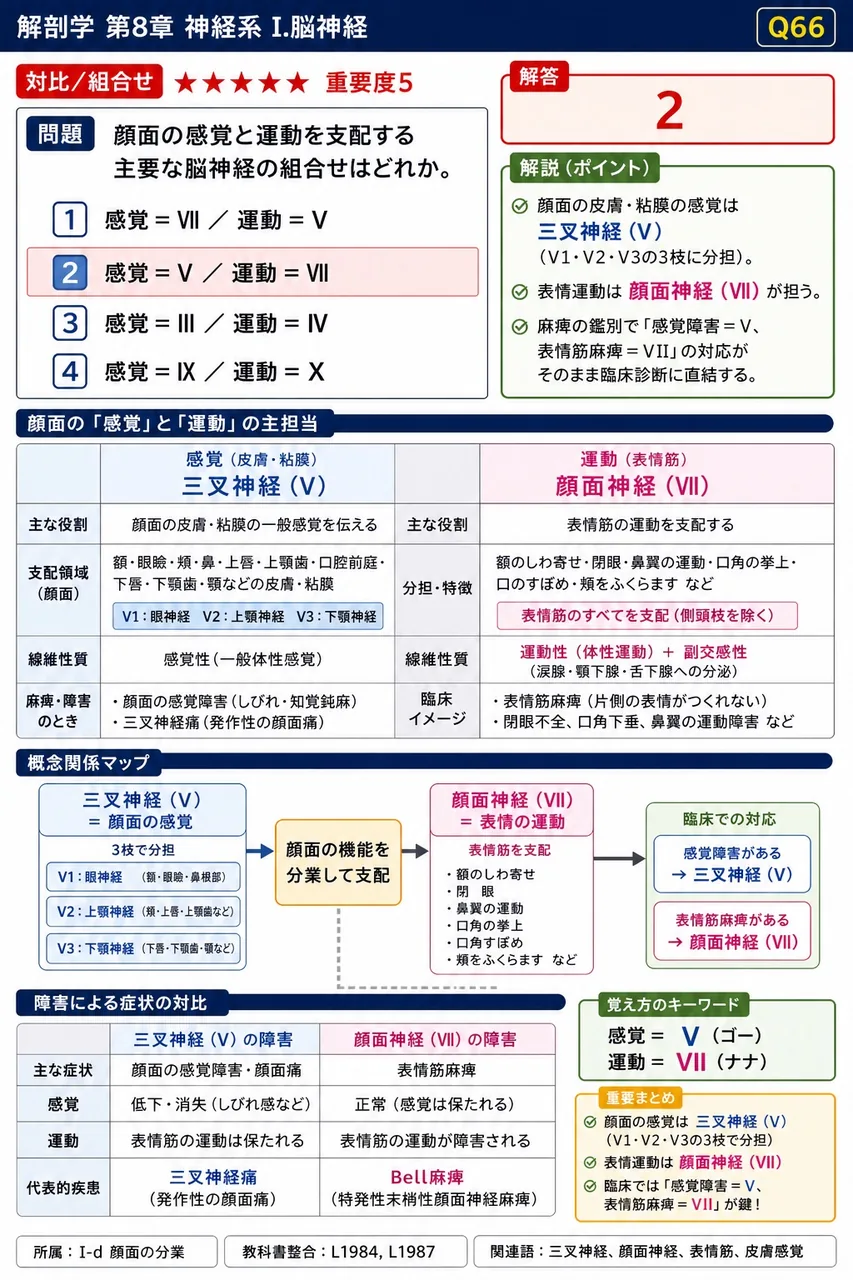 顔面の感覚と運動を支配する主要な脳神経の組合せはどれか。 解説図