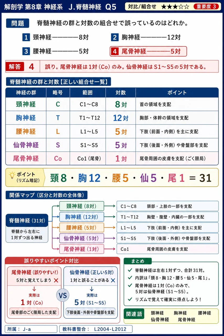 脊髄神経の群と対数の組合せで誤っているのはどれか。 解説図