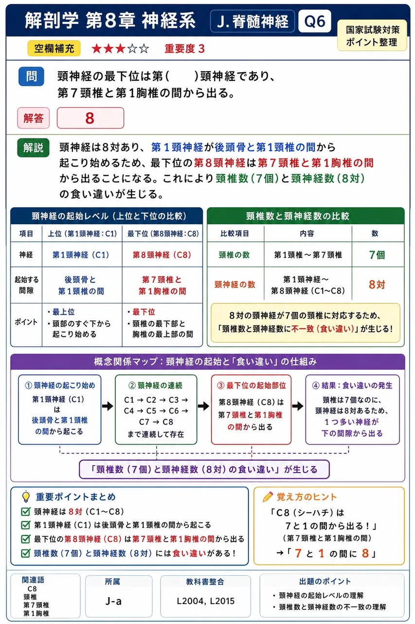 頸神経の最下位は第( )頸神経であり、第7頸椎と第1胸椎の間から出る。 解説図