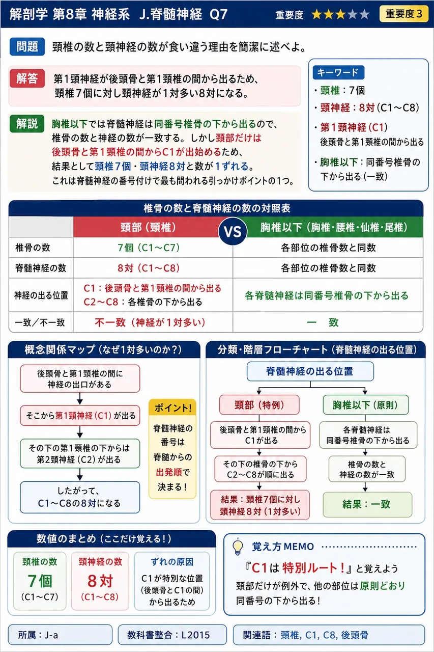 頸椎の数と頸神経の数が食い違う理由を簡潔に述べよ。 解説図