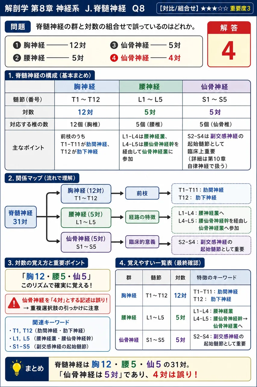 脊髄神経の群と対数の組合せで誤っているのはどれか。 解説図