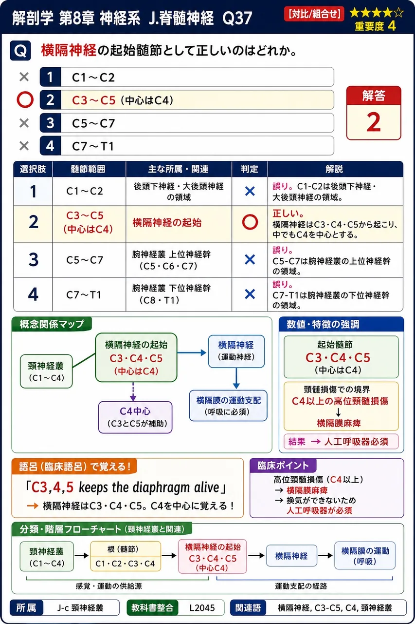 横隔神経の起始髄節として正しいのはどれか。 解説図