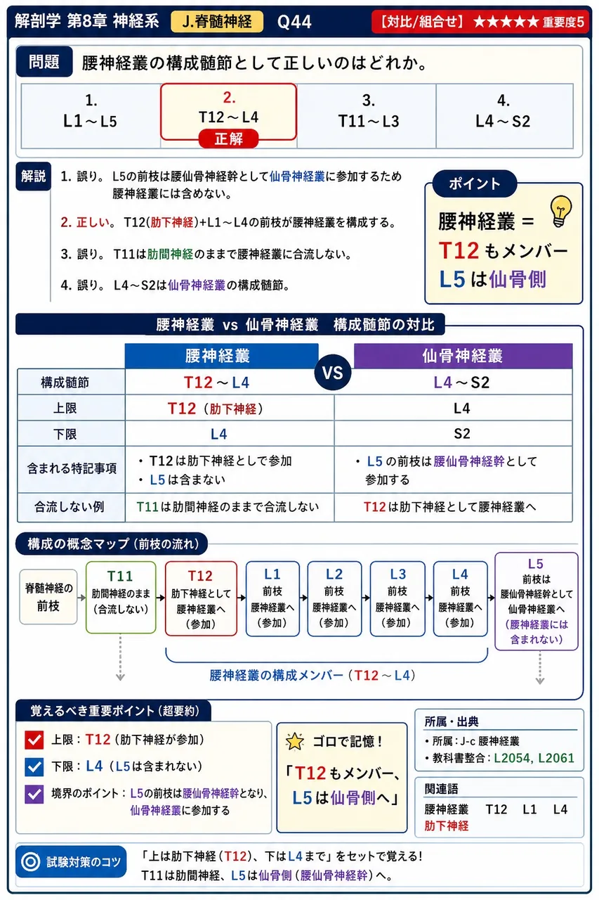 腰神経叢の構成髄節として正しいのはどれか。 解説図