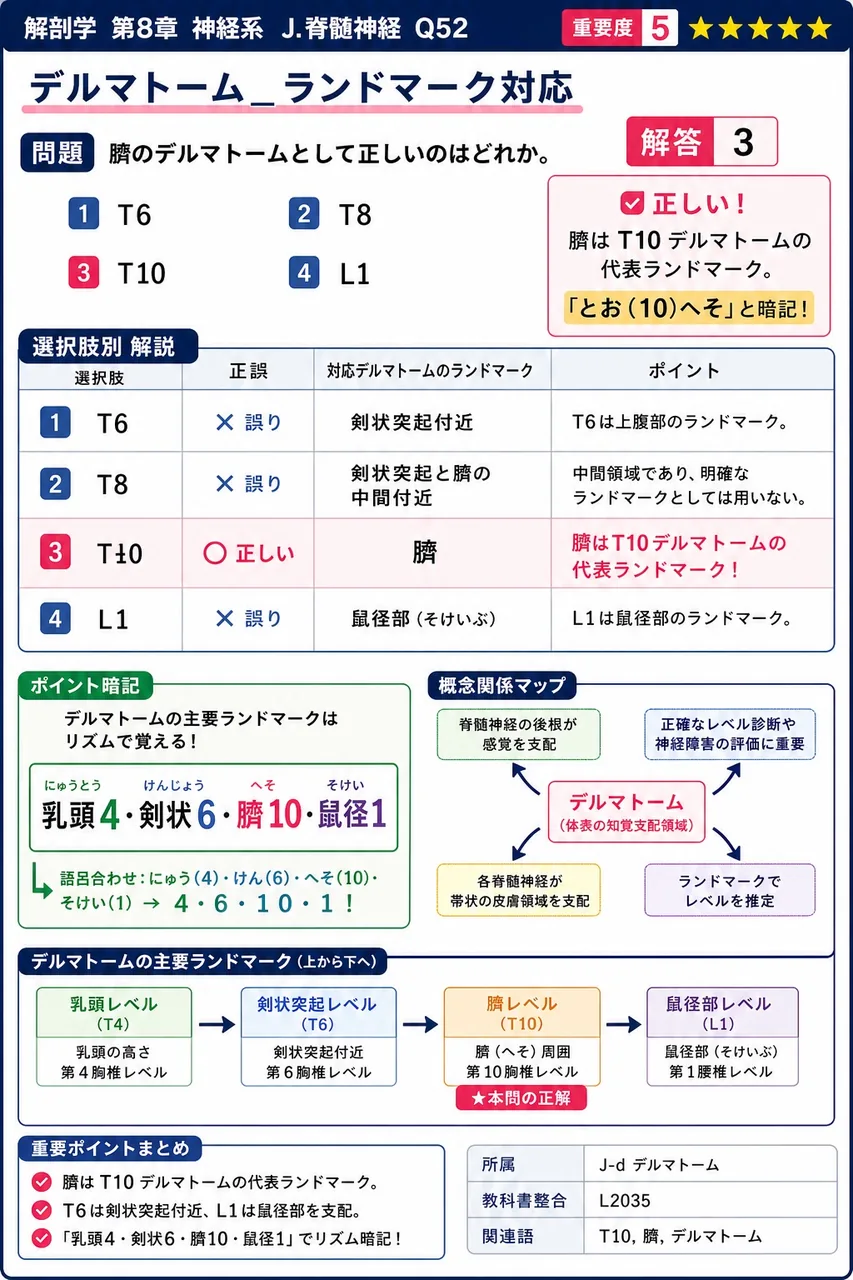 臍のデルマトームとして正しいのはどれか。 解説図