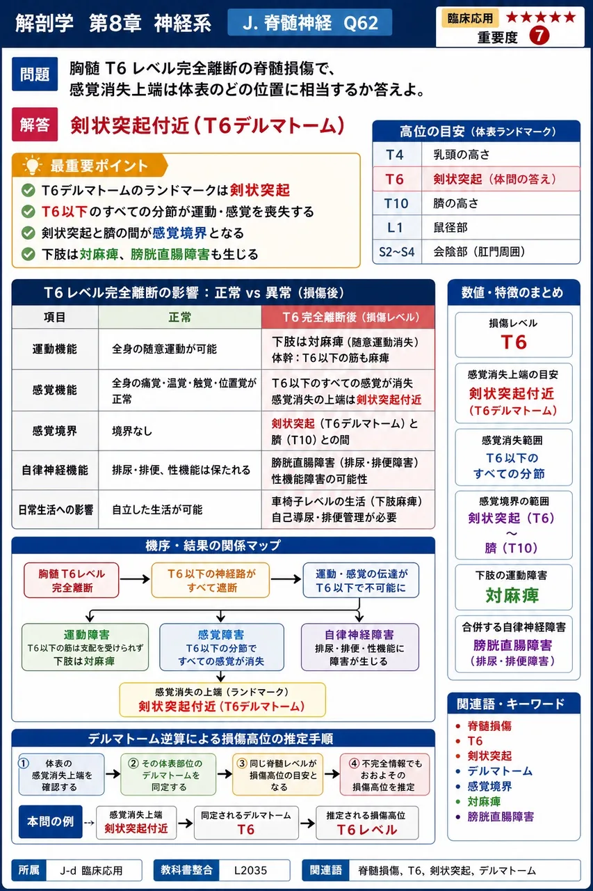 胸髄T6レベル完全離断の脊髄損傷で、感覚消失上端は体表のどの位置に相当するか答えよ。 解説図