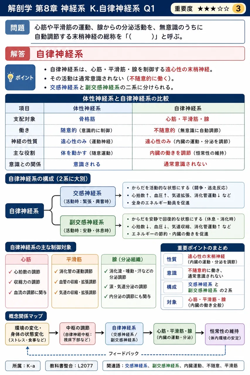 心筋や平滑筋の運動、腺からの分泌活動を、無意識のうちに自動調節する末梢神経の総称を「( )」と呼ぶ。 解説図