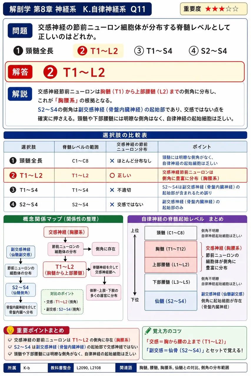 交感神経の節前ニューロン細胞体が分布する脊髄レベルとして正しいのはどれか。 解説図