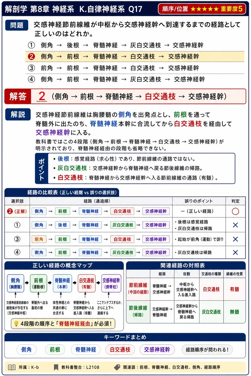 交感神経節前線維が中枢から交感神経幹へ到達するまでの経路として正しいのはどれか。 解説図