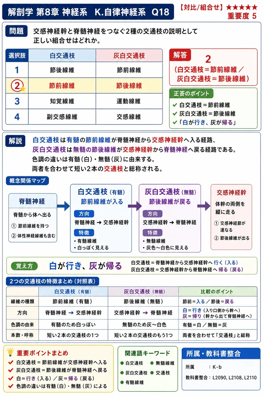 交感神経幹と脊髄神経をつなぐ2種の交通枝の説明として正しい組合せはどれか。 解説図