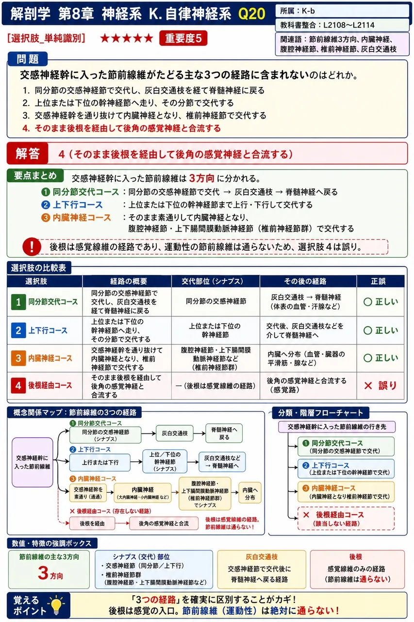 交感神経幹に入った節前線維がたどる主な3つの経路に含まれないのはどれか。 解説図