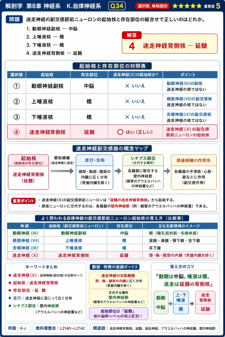 迷走神経の副交感節前ニューロンの起始核と存在部位の組合せで正しいのはどれか。 解説図