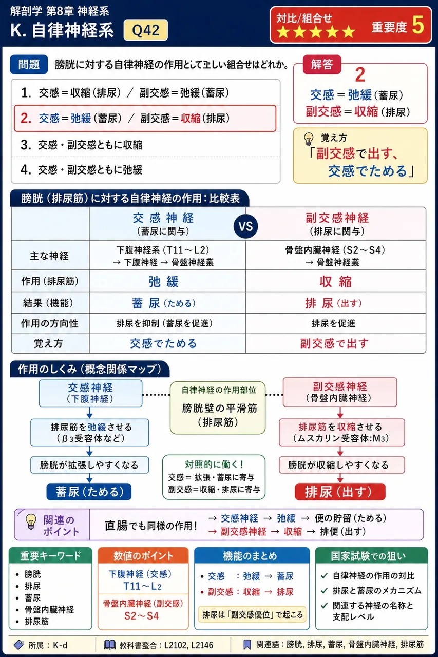 膀胱に対する自律神経の作用として正しい組合せはどれか。 解説図